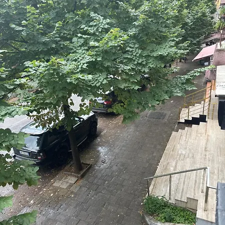 Sophia Daily Tirana